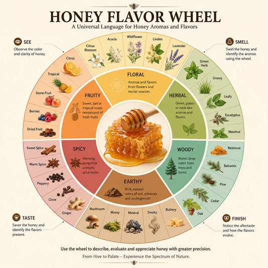 Honey Flavor Wheel helps identify floral, fruity, herbal, woody, spicy, earthy, and sweet aromas, enabling precise professional honey tasting.