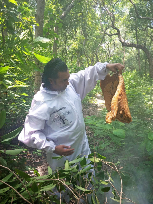 Unknown Honey Hunters of Katarniyaghat Forest