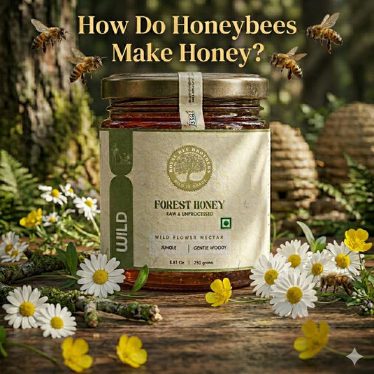 Infographic about honeybee life cycle, honey types in India, and honey making process by Royal Bee Brothers