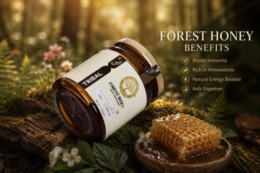 Tribal forest honey jar on mossy woodland log with honeycomb, cinematic sunlight, showcasing natural antioxidants, immunity support, benefits.