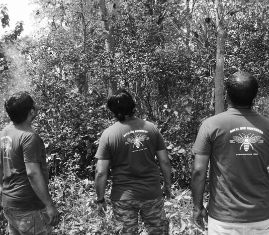 Once Upon a time - The Honey Hunter of Katarniyaghat