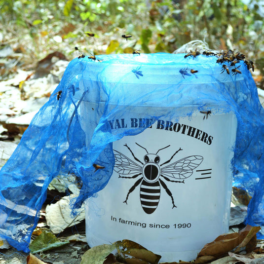 Where Tigers Crouch and Honey Gleams: Tales from Sundarban ! Part-1