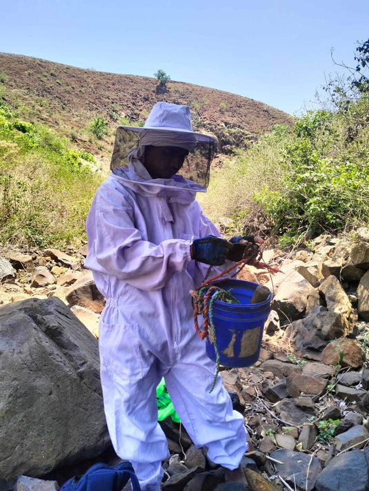 Wild Forest Honey Harvesting Journey in Madhya Pradesh | Royal Bee Brothers | P3