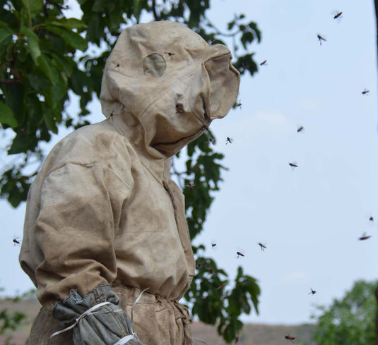 Mandla – Bichhiya (Madhya Pradesh): Part – 1