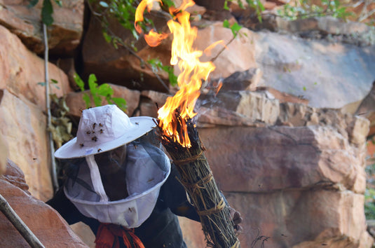 The Hunt for Honey – Ranipur Forest, Chitrakoot, Uttar Pradesh (Part 1)