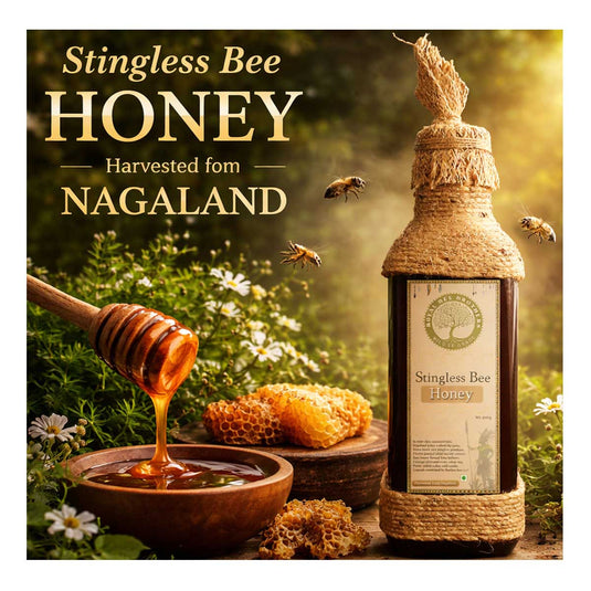 Stingless Bee Honey Harvested from Nagaland, Royal Bee Brothers