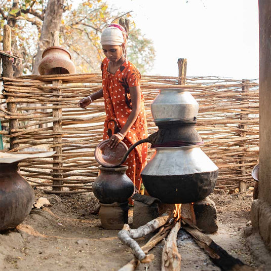 Mahua Tree: A Saviour of Central India’s Tribal Population