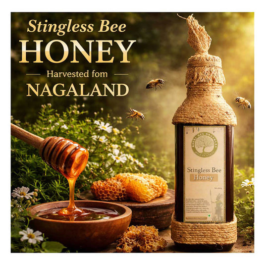 Stingless Bee Honey Harvested from Nagaland, Royal Bee Brothers