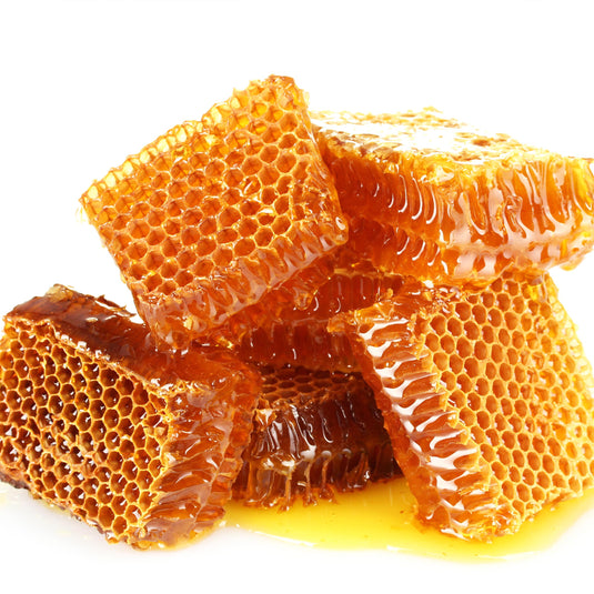 Wild honey hive from forest trees