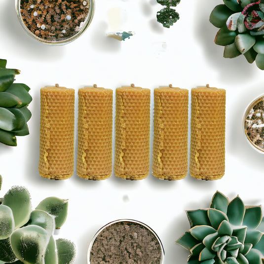 Paasi - Natural Handmade Beeswax Candle