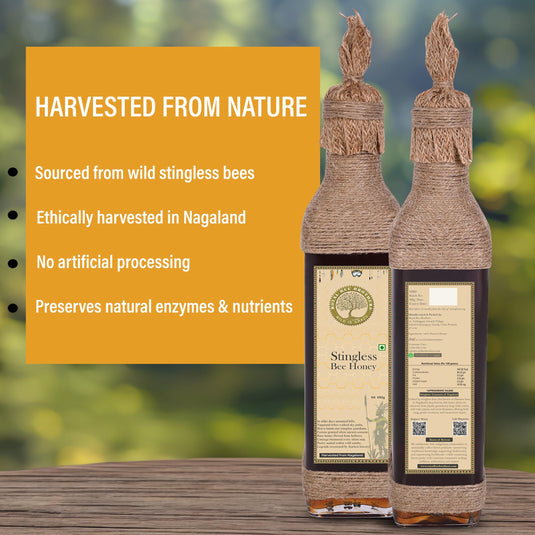Stingless Bee Honey, Produce of Dummer Bee, Raw & Unprocessed, Harvested from Nagaland