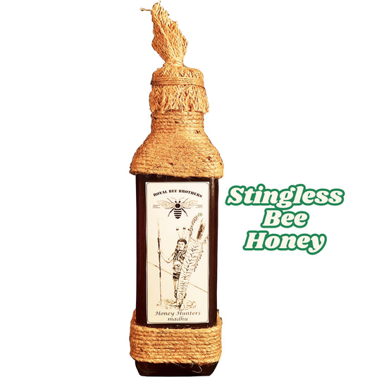 Traditional log hive being opened to harvest stingless bee honey in a forest setting