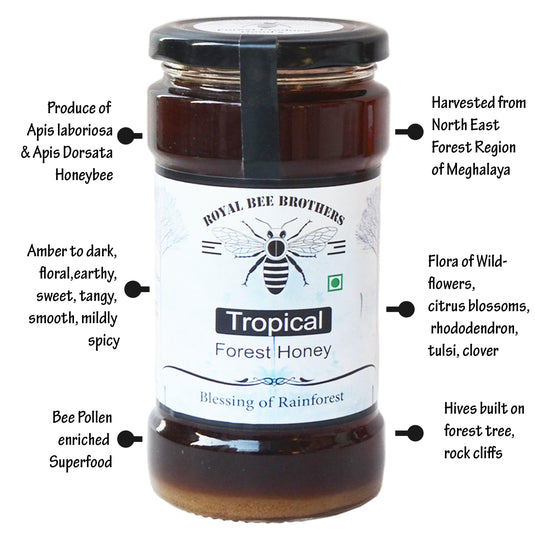 Tropical Forest Honey