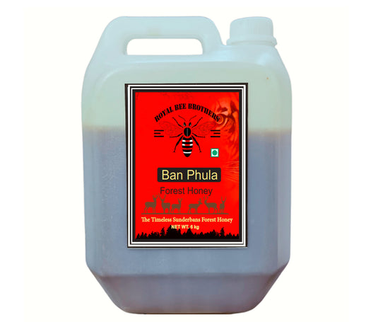 Unprocessed Sundarbans honey collected by wild bees in a large Can