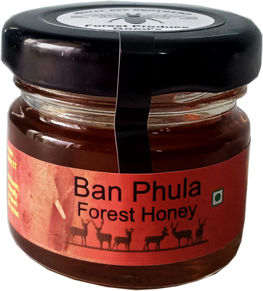 Forest Honey Sample - 9 Type - Royal Bee Brothers