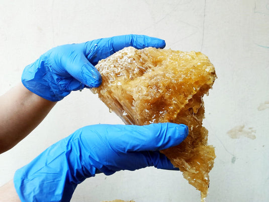 From the Land of Dokkhin Rai and Bon Bibi