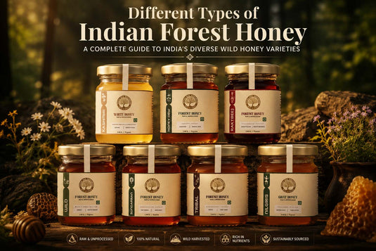 Collection of different types of Indian forest honey showcasing unique regional varieties sourced from wild forests across India.