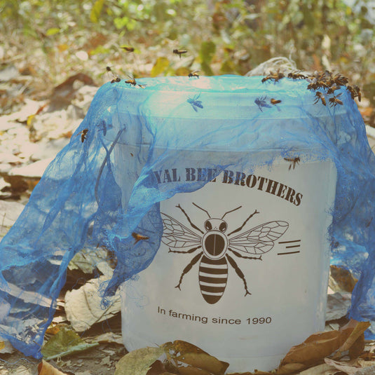 Where Tigers Crouch and Honey Gleams: Tales from Sundarban !  Part-1