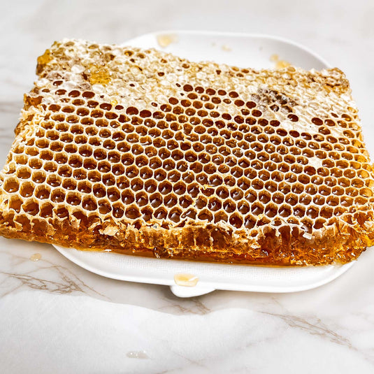 Natural wild honey hive hanging from an ancient forest tree, golden honeycombs thriving amid lush greenery, untouched by human cultivation.