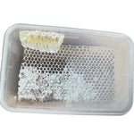 100% Natural Honeycomb | Raw Chunk & Fresh Cut Honeycomb
