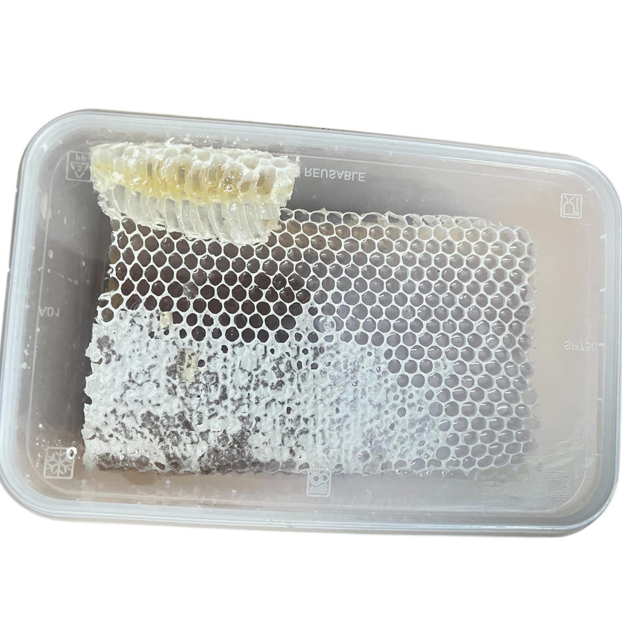 100% Natural Honeycomb | Raw Chunk & Fresh Cut Honeycomb