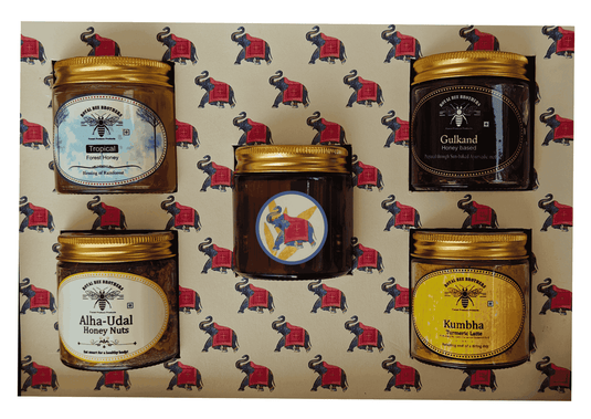 Gajendra - Bless Gift Pack
