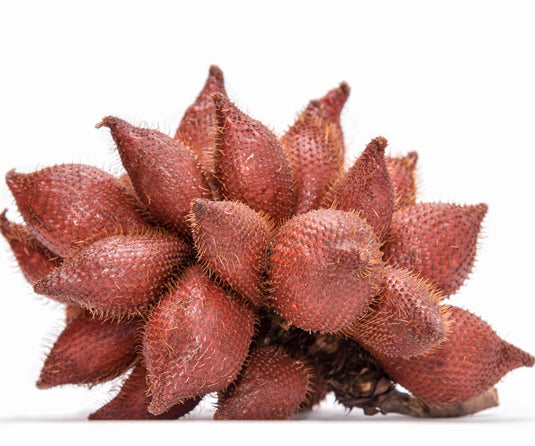 Sindoor Seed | Annatto Seed | 10 gm | Bixa Orellana
