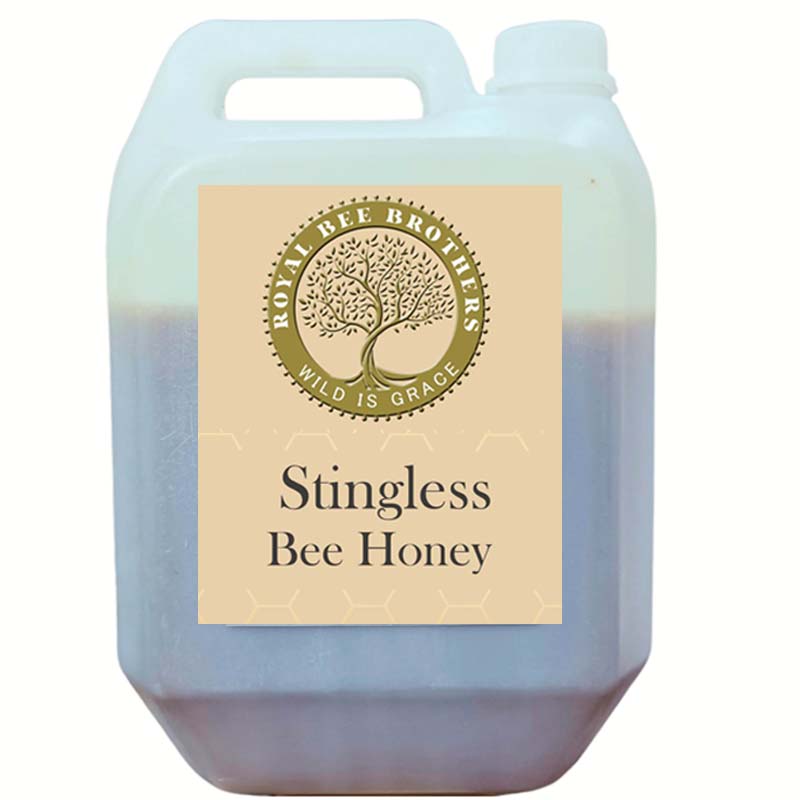 Exotic Meliponini bee honey rich in antioxidants, enzymes, probiotics, and natural antimicrobial properties