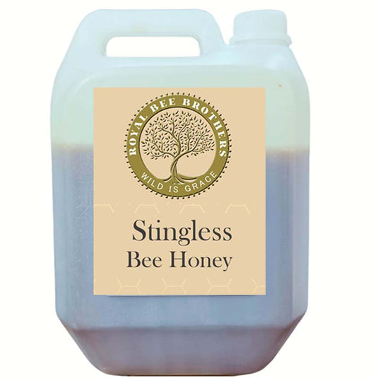 Exotic Meliponini bee honey rich in antioxidants, enzymes, probiotics, and natural antimicrobial properties