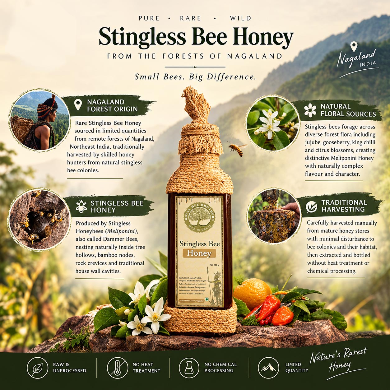 A promotional infographic for Stingless Bee Honey from Nagaland, India. The center features a burlap-wrapped glass honey bottle with a cork stopper and a printed label.