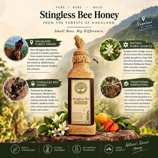 A promotional infographic for Stingless Bee Honey from Nagaland, India. The center features a burlap-wrapped glass honey bottle with a cork stopper and a printed label.