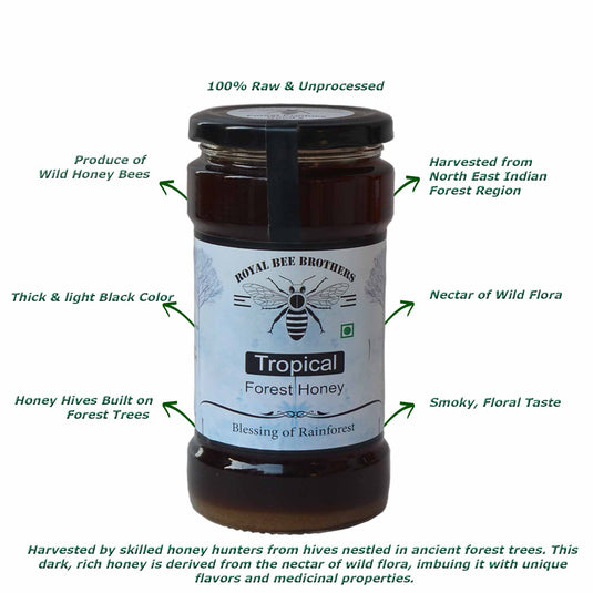 Tropical Forest Honey