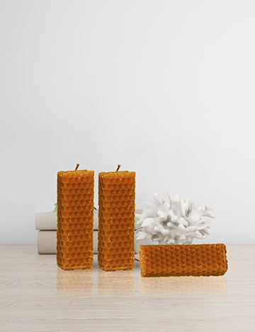 Pradhama - Forest Beeswax Candle
