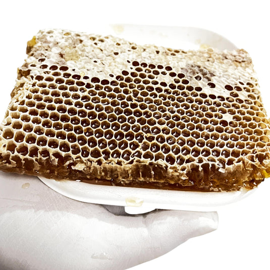 HoneyComb | Fresh Edible Honeycomb – Unprocessed Goodness
