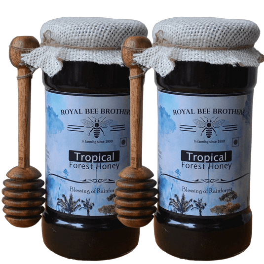 raw and unprocessed rain forest honey buy online